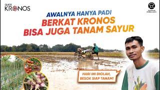 Awalnya Hanya Tanam Padi, Berkat Quick Kronos Bisa Tanam Sayur Juga