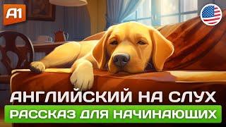 Lazy Dog  Рассказ на английском для начинающих (А1-А2)