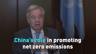 China's role in promoting net zero emissions