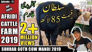 COW MANDI SOHRAB GOTH 2019 KARACHI | AFRIDI Cattle Farm | VIP TENTS | Episode – 11  in URDU HINDI