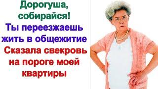 После этого случая родичи обходили меня стороной. Их идея с выселением меня в общагу провалилась...