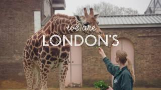 Visit ZSL London Zoo