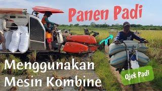 PANEN PADI DENGAN MESIN KOMBINE