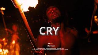 Rema x Burna boy x joeboy type beat - "CRY"