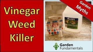 Vinegar Weed Killer - Does It Work - compare Roundup, vinegar and salt