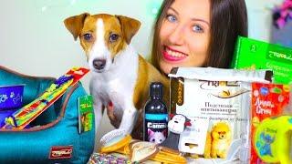 ЧТО НУЖНО ДЛЯ ПОЯВЛЕНИЯ ЩЕНКА В ДОМЕ | СТАРТОВЫЙ НАБОР ДЛЯ СОБАКИ | Elli Di Pets