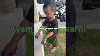 Anak Ayam warna warni #anakayam #ayamkecil #pitik #ayamwarnawarni #ayampelangi