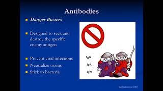 IgG Subclass & Specific Antibody Deficiency