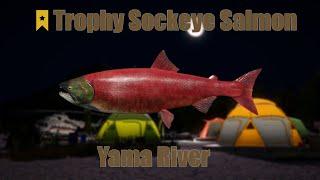 Russian Fishing 4 - Yama River, Trophy Sockeye Salmon