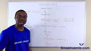 Ethylene Glycol Toxicity