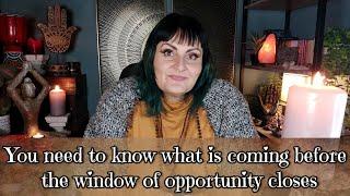 You need to know what is coming before the window of opportunity closes -  tarot reading