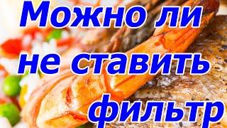 Можно ли не ставить фильтр для летнего пруда с Креветкой ?