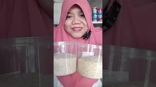 DYMA KULINER ASMR RAW RICE EATING Makan Beras Mentah #mukbang @Dymareal @dymavlog