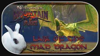 NEVERWINTER: Mountain of Flame  05 - Lager des tobenden Drachen (Adept) [alomd]