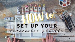 How to set up your watercolour palette