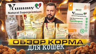 Итальянцы в Подольске или что за сухой корм Yummy Linea | Обзор корма для кошек