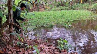 IKAN DISINI BABON BABON !!! DAPAT MONSTER SUNGAI BERKAKI EMPAT!!!