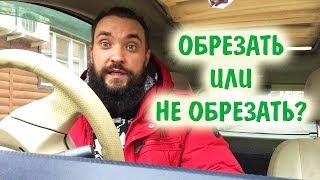 Обо всем за рулем #14 / Надо ли обрезать листья у растений? / Mr.GrowChannel