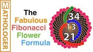 The fabulous Fibonacci flower formula