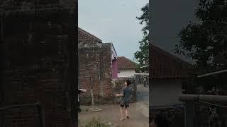 Kumpulan Video Short Bocil Mengejar Layangan Putus ( Moro ) #trendingshorts #viral #tasikmalaya