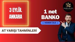 3 eylül 2024 Salı Ankara At Yarışı Tahminleri