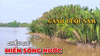 Cảnh Chiều Miền Sông Nước Cuối Năm | Góc Nhỏ Yên Bình Của Xóm Làng Vùng Quê.