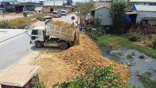 Start new project! Technique Land filling With Bulldozer KOMATSU D31P And Dump Trucks