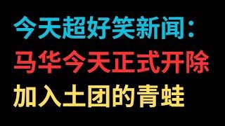 今天超好笑新闻：马华今天正式开除加入土团的青蛙