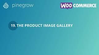 19. The product image gallery
