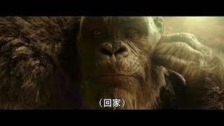 GODZILLA VS KONG Taiwanese TV Spot 4