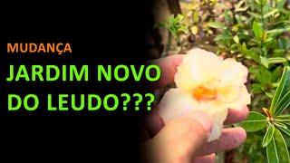 Mudança - JARDIM NOVO DO LEUDO???