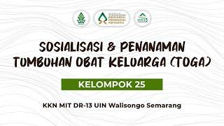 Sosialisasi Dan Penanaman Tumbuhan Toga ||| KKN MIT DR 13 Kelompok 25