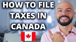 How To File Taxes In Canada 2025 // Beginner Guide