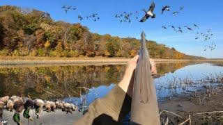 Duck Hunting: Massive Flocks of Ducks All Morning! This Was So Unexpected!