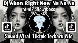 DJ  RIGHT NOW NA NA NA DJ RIGHT NOW NA NA REMIX SLOW BASS SOUND FYP TIKTOK TERBARU NIE ‼️