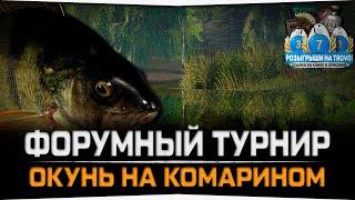 Северский Донец • Комариное озеро • Форумный турнир • Русская рыбалка 4