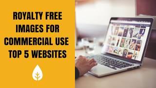 Royalty Free Images For Commercial Use Top 5 Websites For E-commerce Social Media & Design