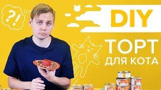 DIY #2: ТОРТ ДЛЯ КОТА