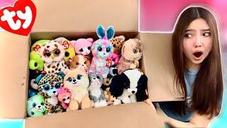 GINORMOUS BEANIE BOO HAUL!