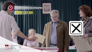 Wybory do Sejmu RP i do Senatu RP 2015 - Termin i technika głosowania