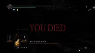 Very Personal "YOU DIED" Screen (Dark Souls: Remastered)