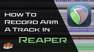 Recording In Reaper: How And When To Arm A Track