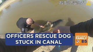 WATCH: Glendale police officers rescue German shepherd stuck in canal using special treat