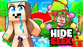 IARNA Hide and Seek cu Dariusel2012 in Minecraft..