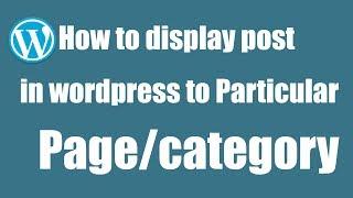 How to display post in WordPress to particular page or category