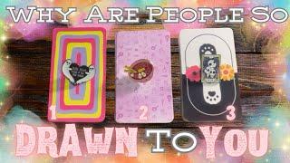 Why Are People So DRAWN To YOU?  | In-Depth Timeless Tarot