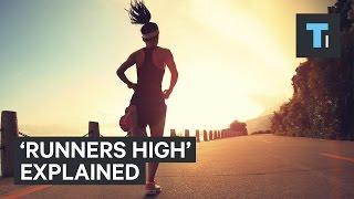 What happens to your brain when you get a "runner's high"