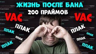 ДОХОД ЗА МЕСЯЦ ЗАБАНЕННОЙ ФЕРМЫ ИЗ 200 ПРАЙМОВ. ЖИЗНЬ ПОСЛЕ БАНА.