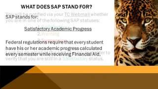 WHAT DOES SAP STAND FOR