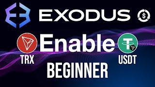 EXODUS WALLET | TRX TRONCHAIN | USDT TRC20 TUTORIAL